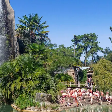 Stunning In With Wifi * La Tremblade