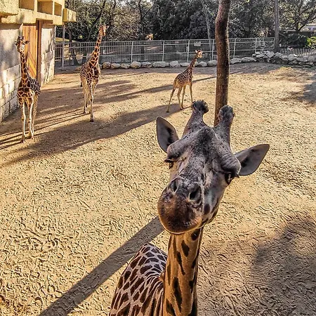 Casa vacanze 3 Bedroom In La Tremblade