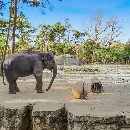 Casa vacanze 3 Bedroom In La Tremblade